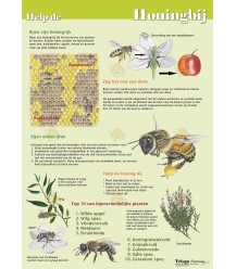 L'affiche aide l'abeille A1