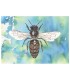 Carte postale vue du dessus abeille bleue