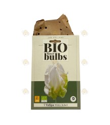 Tulipe White Rebel 7 pièces (bulbes, bio)