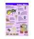 La vie de l'abeille sauvage Carte A4