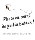 Moules pour jeu d'échecs