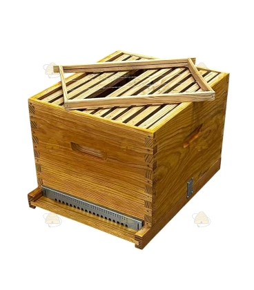 Dadant Blatt bijenkast (1BK)