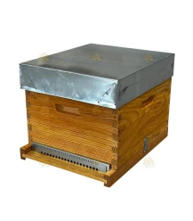 Dadant Blatt bijenkast (1BK)