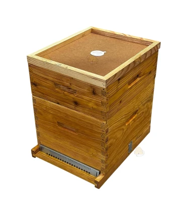 Dadant Blatt bijenkast (1BK, 1HK) - geïmpregneerd