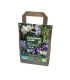 Printemps biologique – sac de 40 bulbes à fleurs
