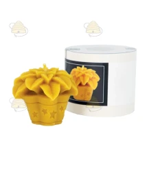 Moule à bougie - étoile de Bethléem