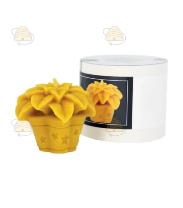 Moule à bougie - étoile de Bethléem