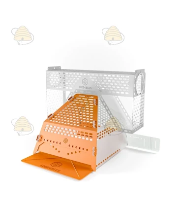Muselière de protection anti-frelons asiatiques avec boîte de capture