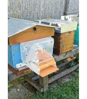 Muselière de protection anti-frelons asiatiques avec boîte de capture