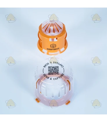 Piège sélectif à frelons asiatiques avec technologie de diffusion -  Good4Bees