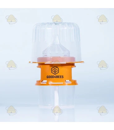 Piège sélectif à frelons asiatiques avec technologie de diffusion -  Good4Bees