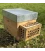 Protection contre les frelons asiatiques ARTHAK®