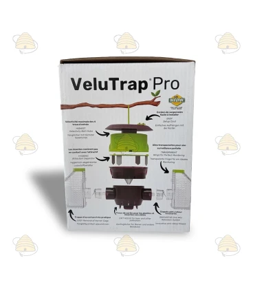 Piège à frelons asiatiques à suspendre/à poser - Velutina Trap