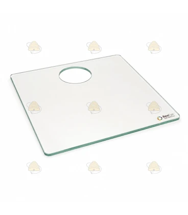 Tirelire en verre avec trou d'alimentation 47,3 x 42,1 cm et sortie d'abeille en acier inoxydable