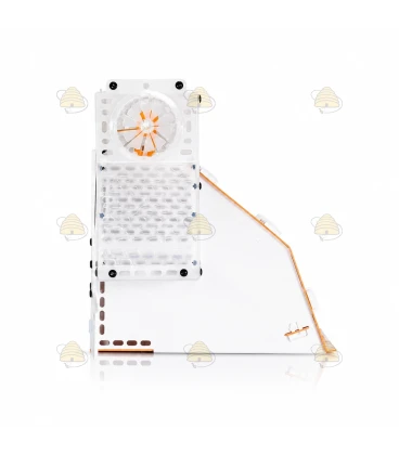 Muselière de protection anti-frelons asiatiques avec boîte de capture - Good4Bees