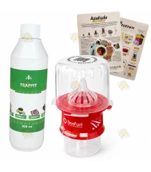 Kit de démarrage : piégeage des frelons asiatiques