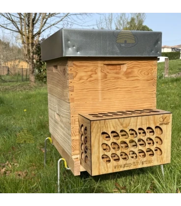 Protection contre les frelons asiatiques ARTHAK®