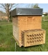 Protection contre les frelons asiatiques ARTHAK®