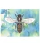 Carte postale vue du dessus abeille bleue
