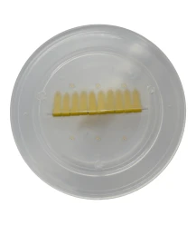 Chasse-abeilles modèle allemand 9,9 cm