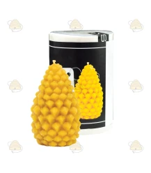 Pomme de pin affinée, coulée