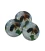 Couvercles abeille sur pommier TO 63 mm – 60 pcs