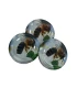 Abeille sur fleur de pommier, 63 mm Couvercle TO, 60 pièces