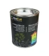 BeeFun® Peinture naturelle pour ruches en bois - 750 ml - Vert Foncé
